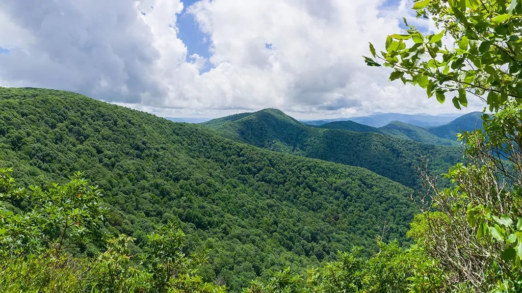 Spaulding Mountain Lean-to — Appalachian National Scenic Trail gallery 1