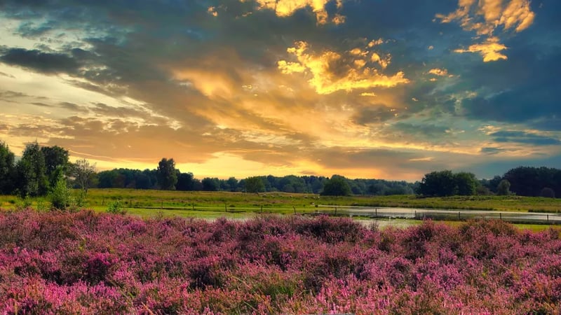 Charme Camping Vorrelveen gallery 1