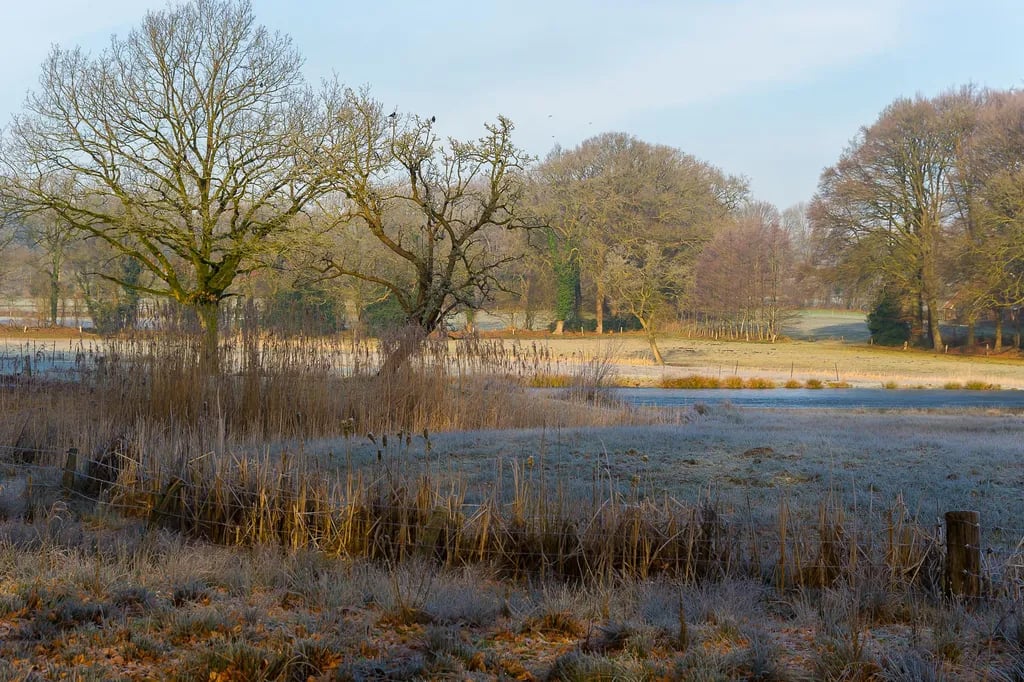 Camping Hoeve Springendal