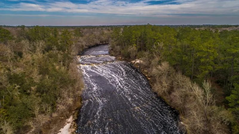 Woods Ferry River Camp — Suwannee River Wilderness Trail gallery 2