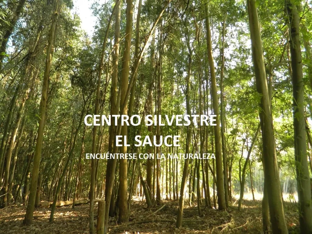 Centro Silvestre El Sauce