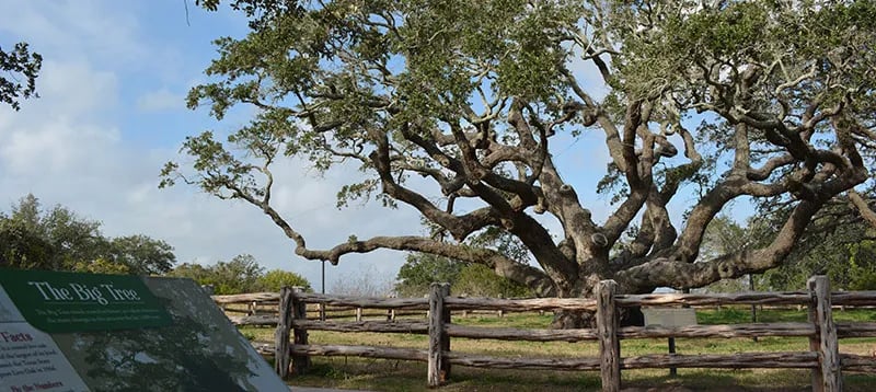 Goose Island State Park Campground gallery 3