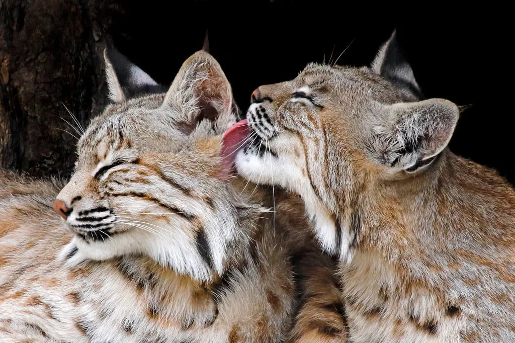 Lake Hasty Campground — John Martin Reservoir State Park