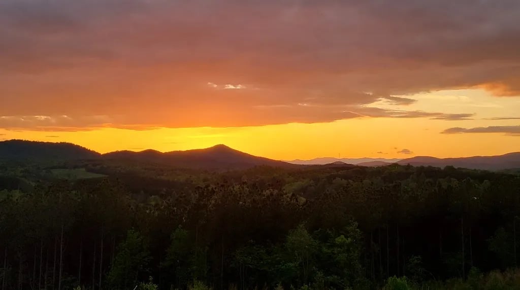 Tellurian Campground gallery 1