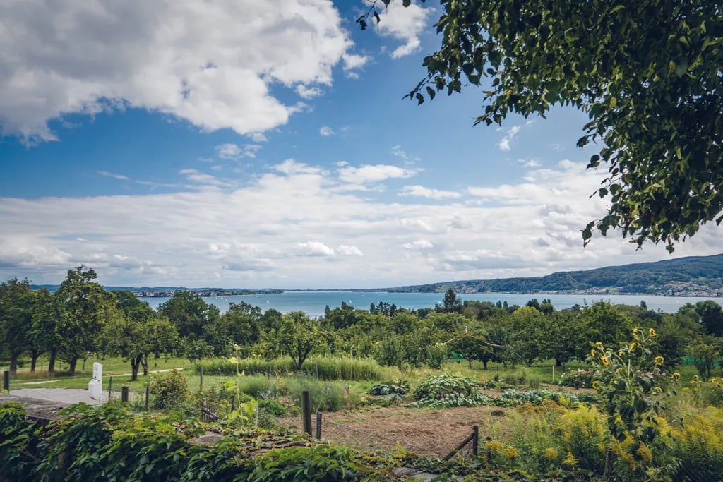 Camping Horn gallery 1