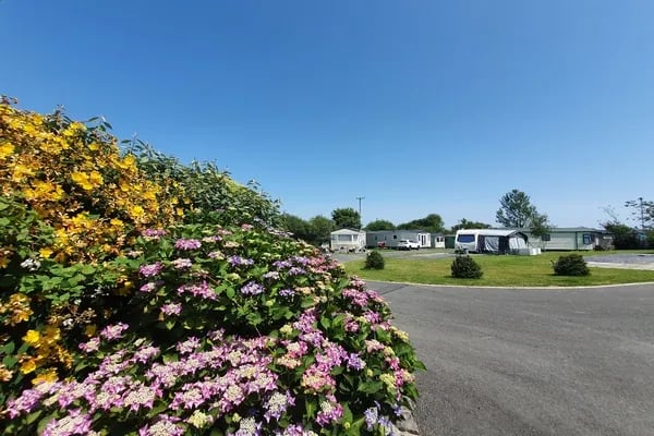 Trefalun Park gallery 1