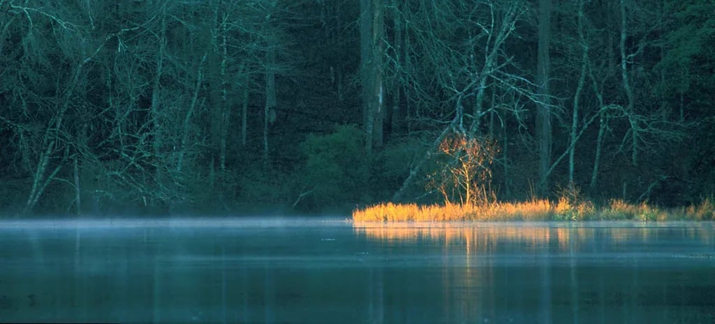 Huntsville State Park Campground gallery 1