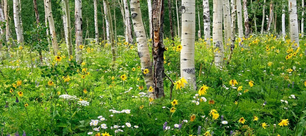 Steamboat Lake State Park gallery 3
