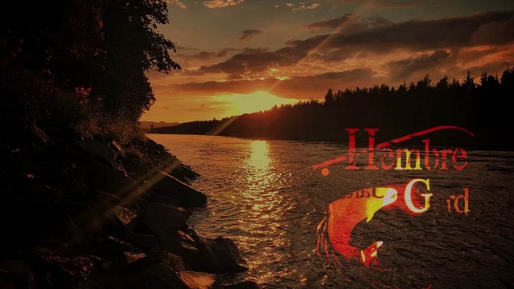 Pluscamp Torpet gallery 1