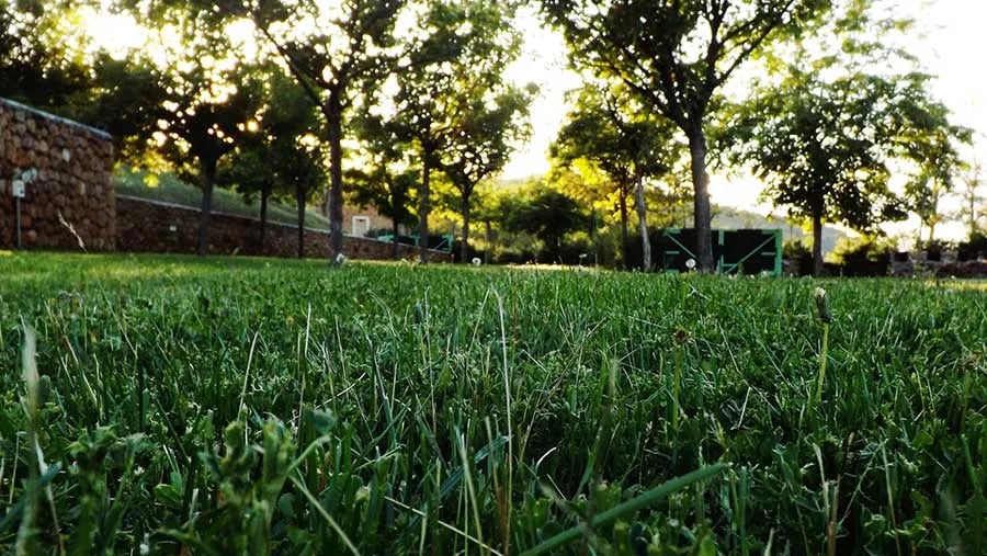 Camping Las Menas gallery 2