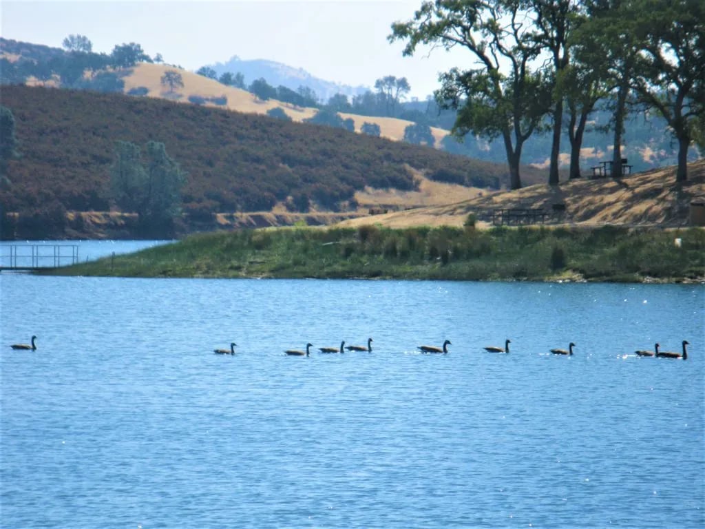 Pardee Reservoir Recreation Area gallery 3