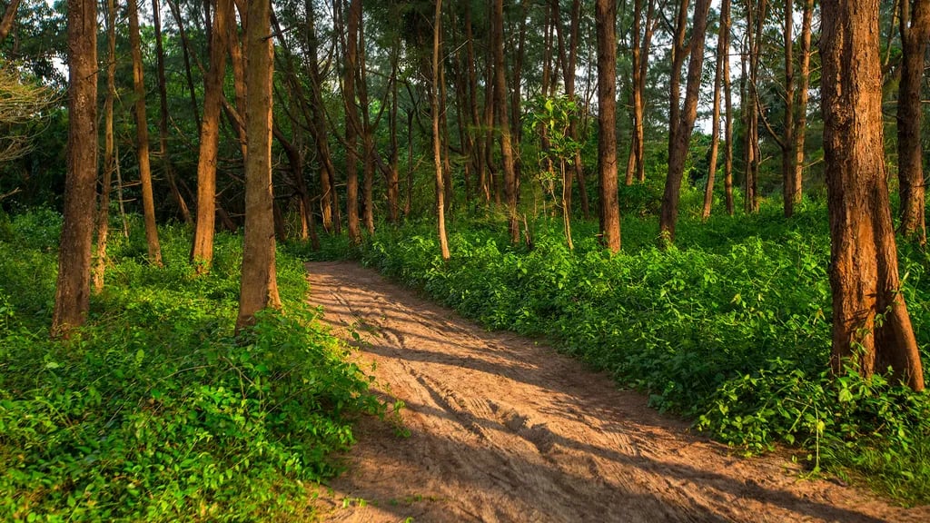 Parque Biológico de Vinhais gallery 2