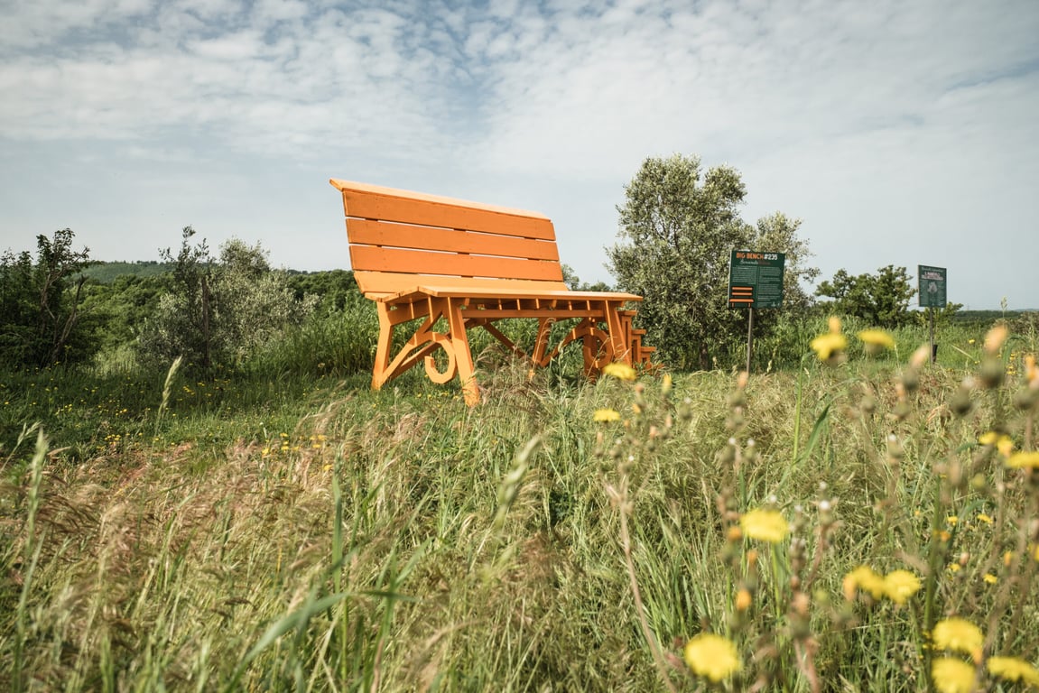 Fattoria La Maliosa gallery 3