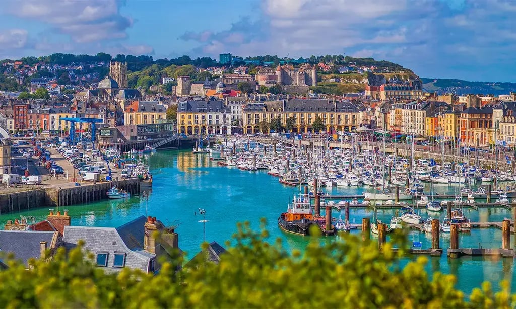 Camping Vitamin’ gallery 3