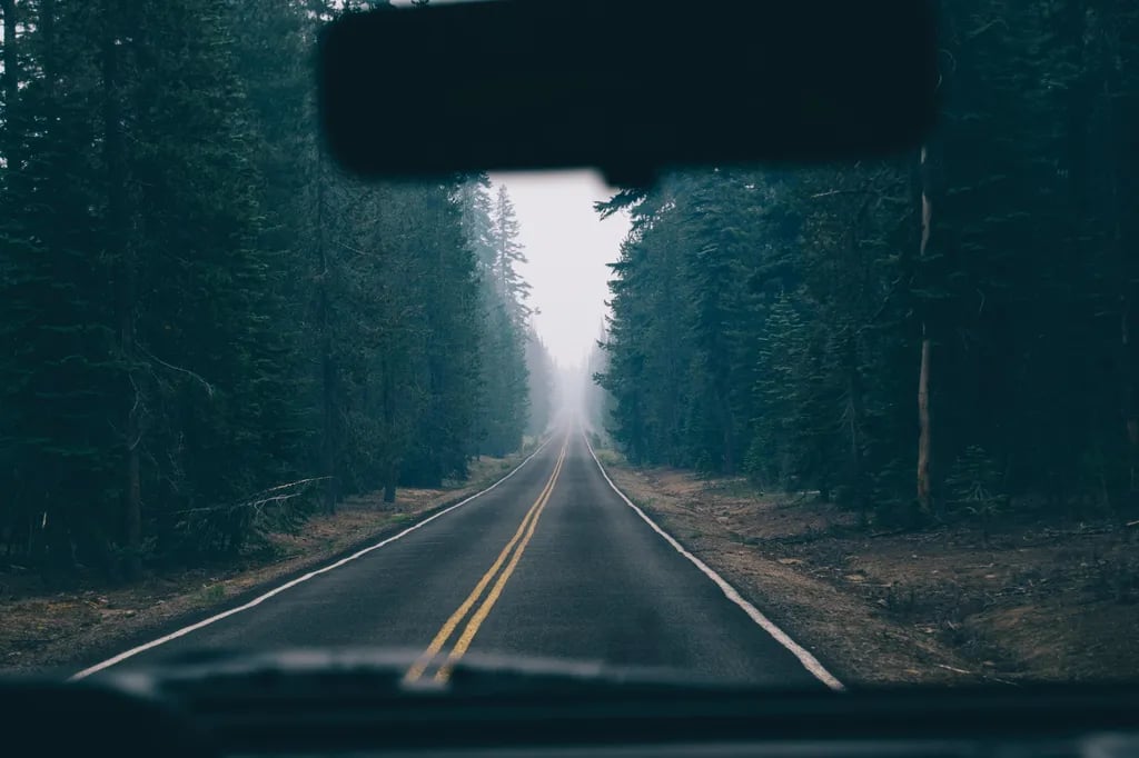 Redwood Coast Cabins & RV Resort gallery 2