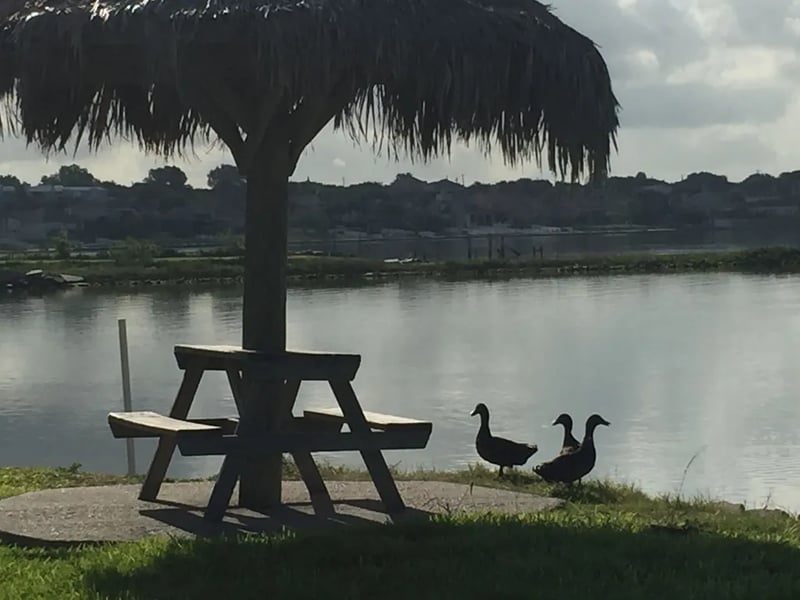 Sea Breeze RV Community Resort gallery 1