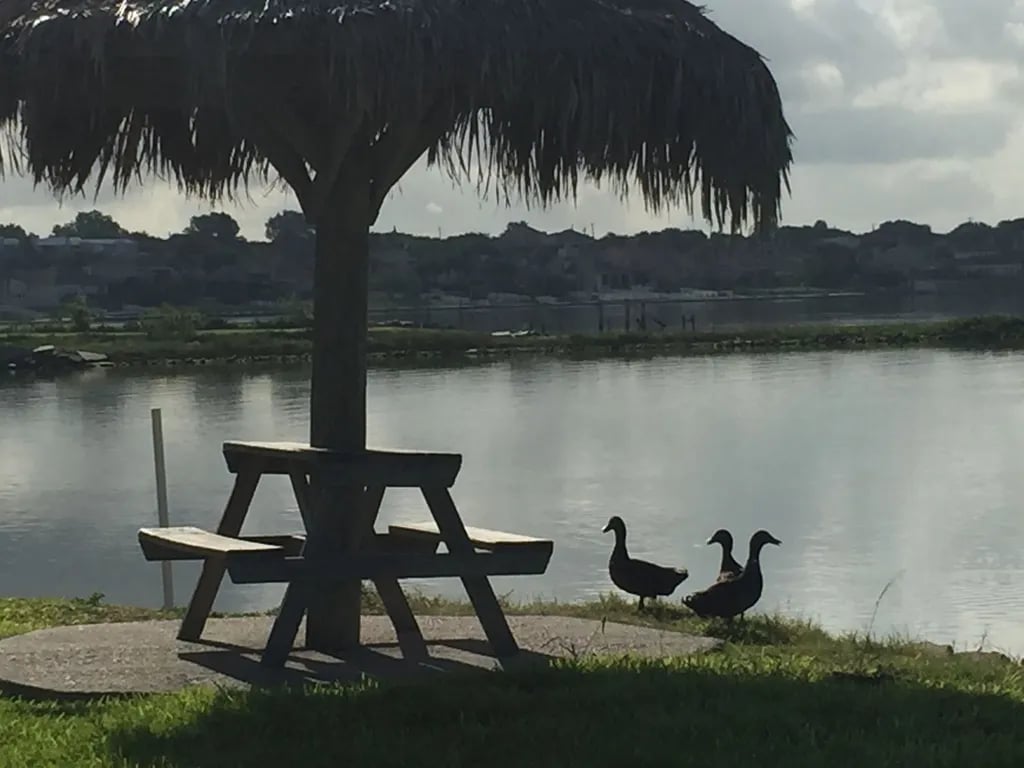 Sea Breeze RV Community Resort gallery 1