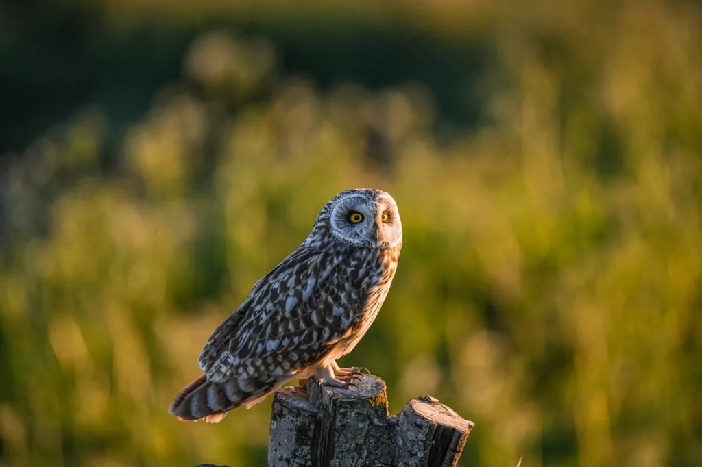 Sortland Camping Og Motell gallery 2