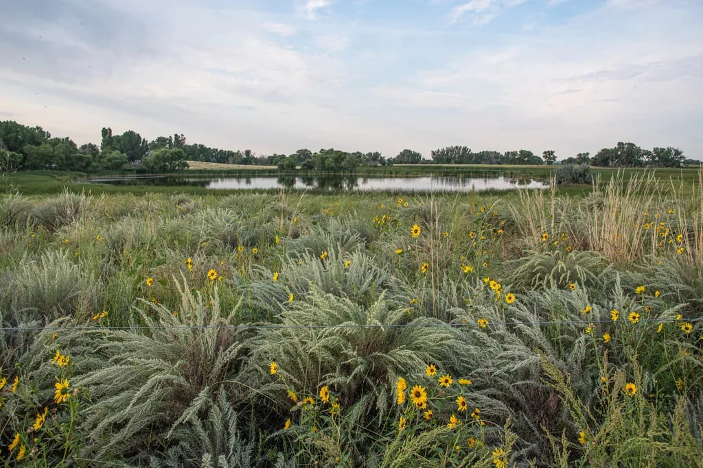 Jackson Lake State Park — Jackson Lake