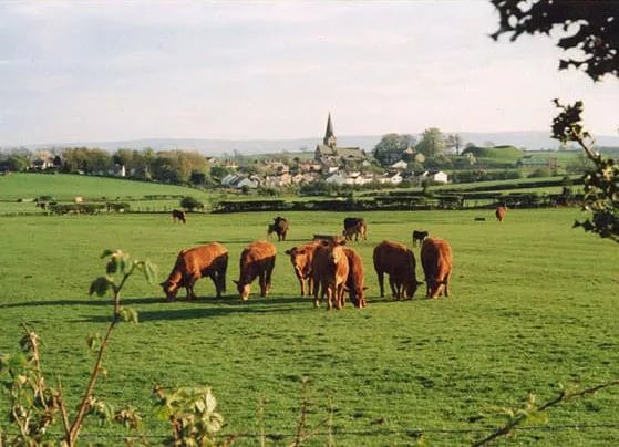 Gallaber Farm Caravan Park gallery 3
