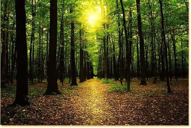 Niagara Shores Campground and Conference Center gallery 3