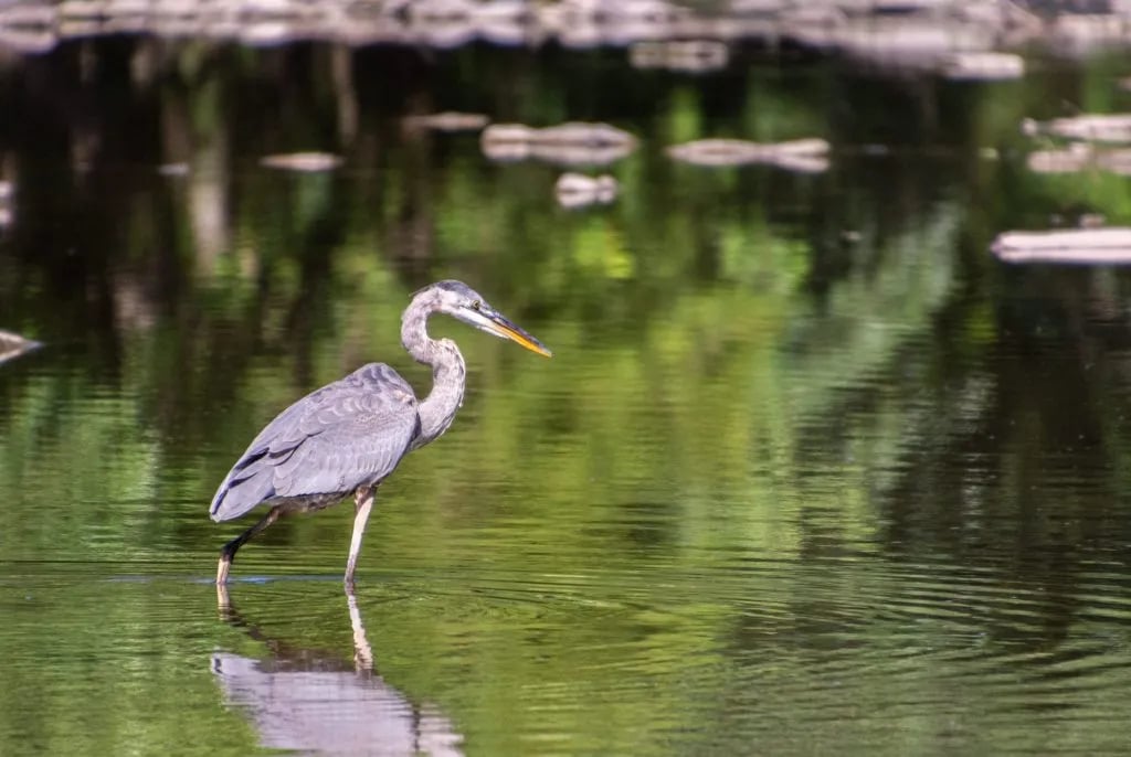 Gettysburg Campground