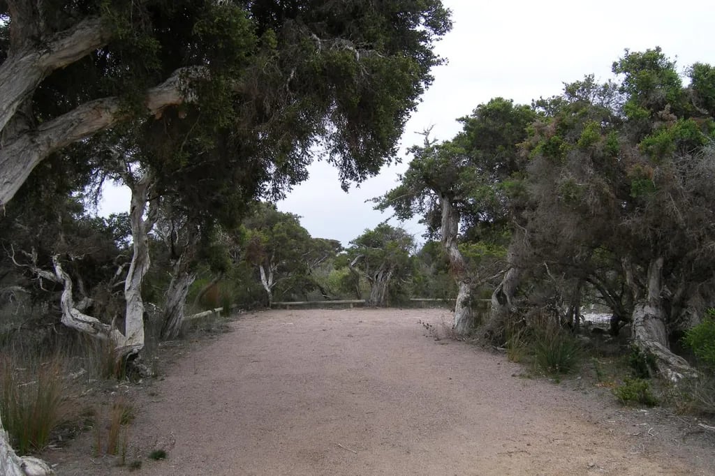 Seal Creek Campground gallery 1