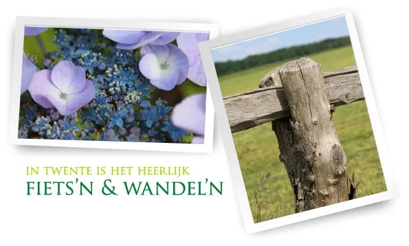 Camping De Haer gallery 1