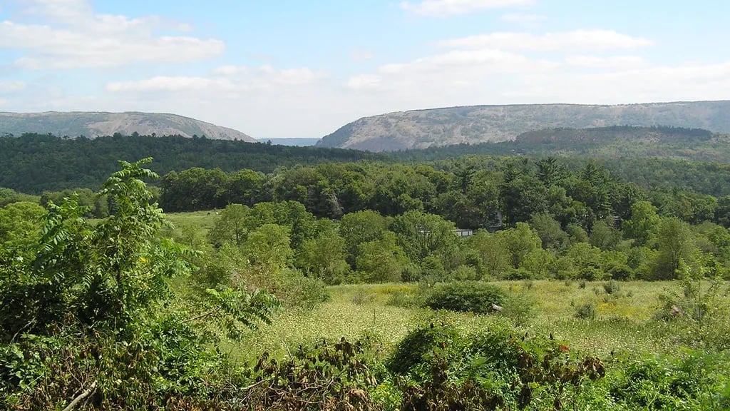 Sunny Rest Resort gallery 2