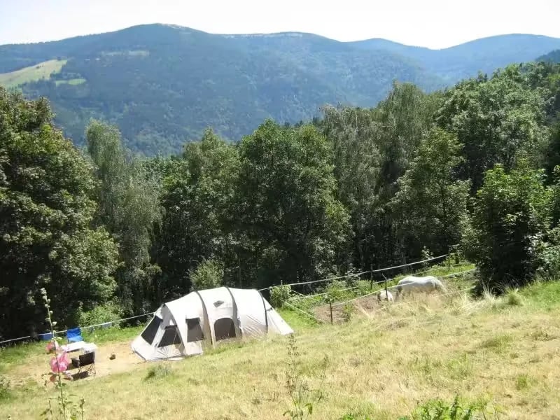 Camping Im Berg gallery 2