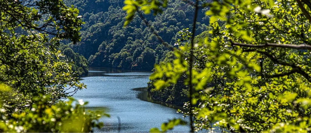 Les Terrasses du Viaur gallery 1