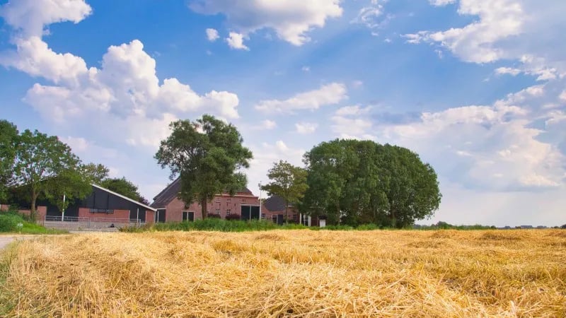 Hayema Heerd gallery 1