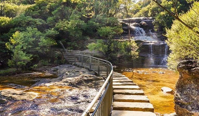 Murphys Glen Campground gallery 1