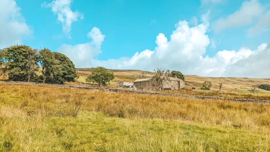 Nethergill Farm gallery 2