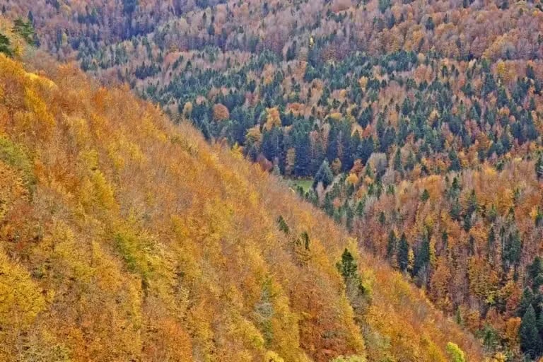 Camping Osate gallery 3