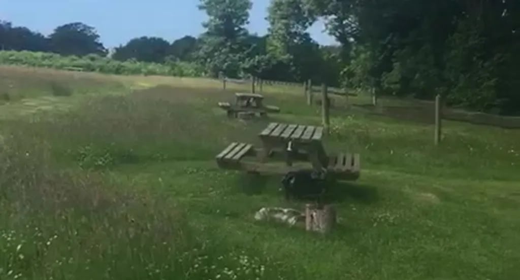 Eco Escape gallery 1