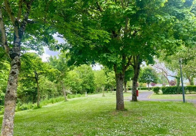 Camping Onlycamp Le Paradis gallery 2