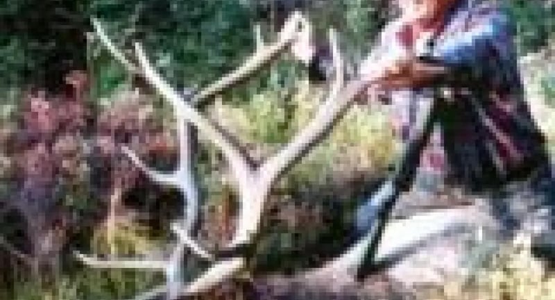 Yellowstone Golf Resort at Aspen Acres RV Park gallery 3