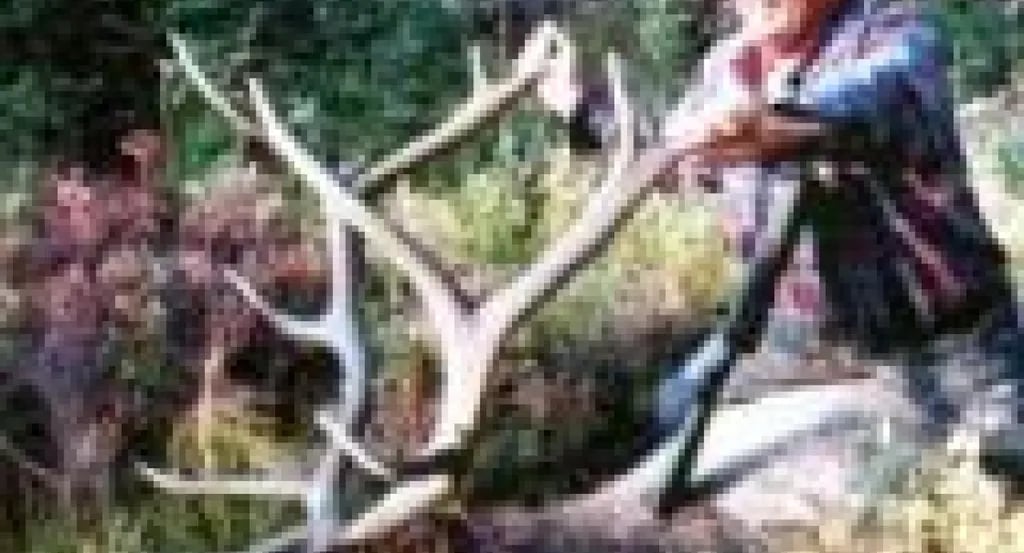 Yellowstone Golf Resort at Aspen Acres RV Park gallery 3