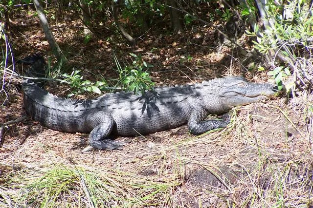 Tuck in the Wood Campground gallery 3