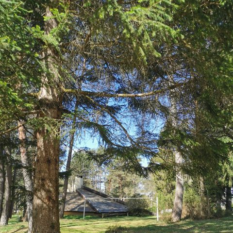 Camping Les Sapins de Corrèze gallery 3