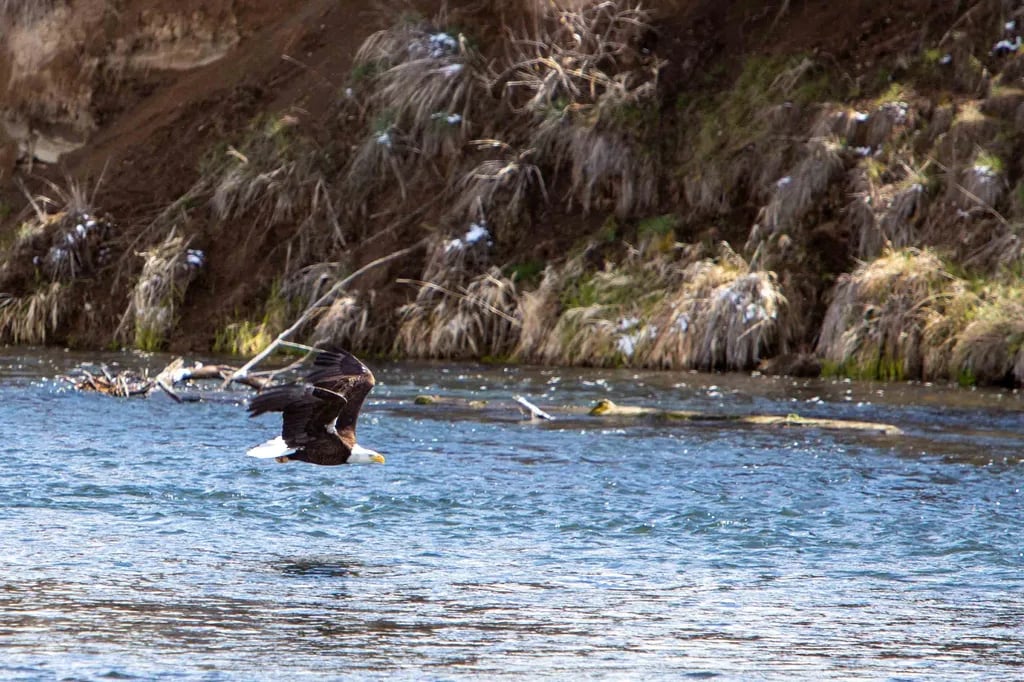 Waterwheel RV Park & Campground gallery 2