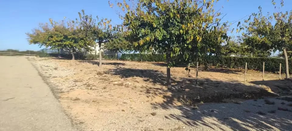 Maestrat Park gallery 3