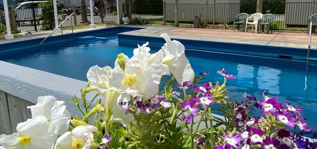 Clarks beach Holiday Park gallery 2