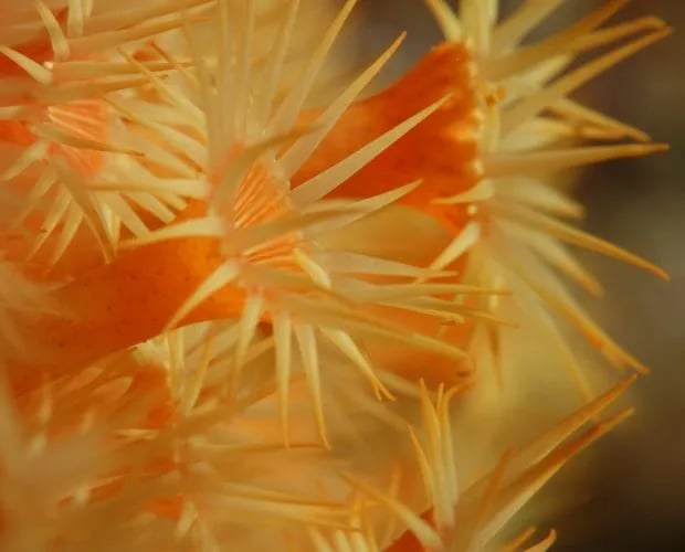 Camping International gallery 2