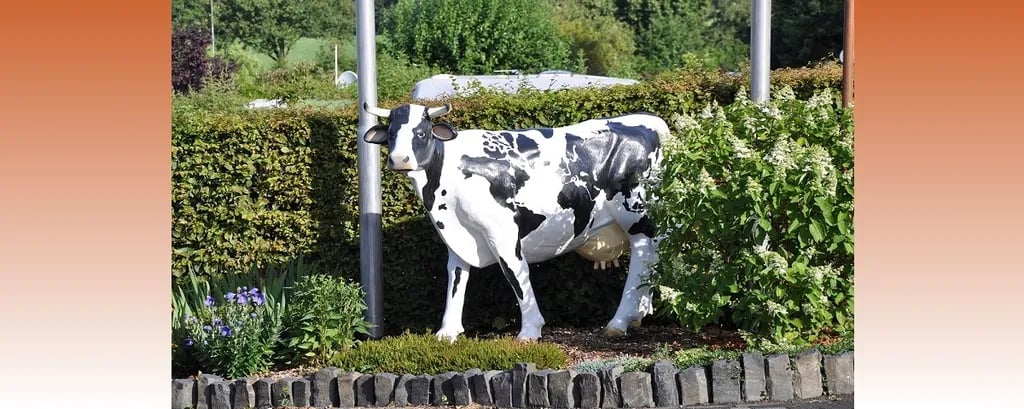 Camping Jillieshof gallery 3