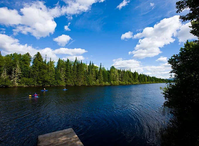 Mollidgewock State Park Campground gallery 1