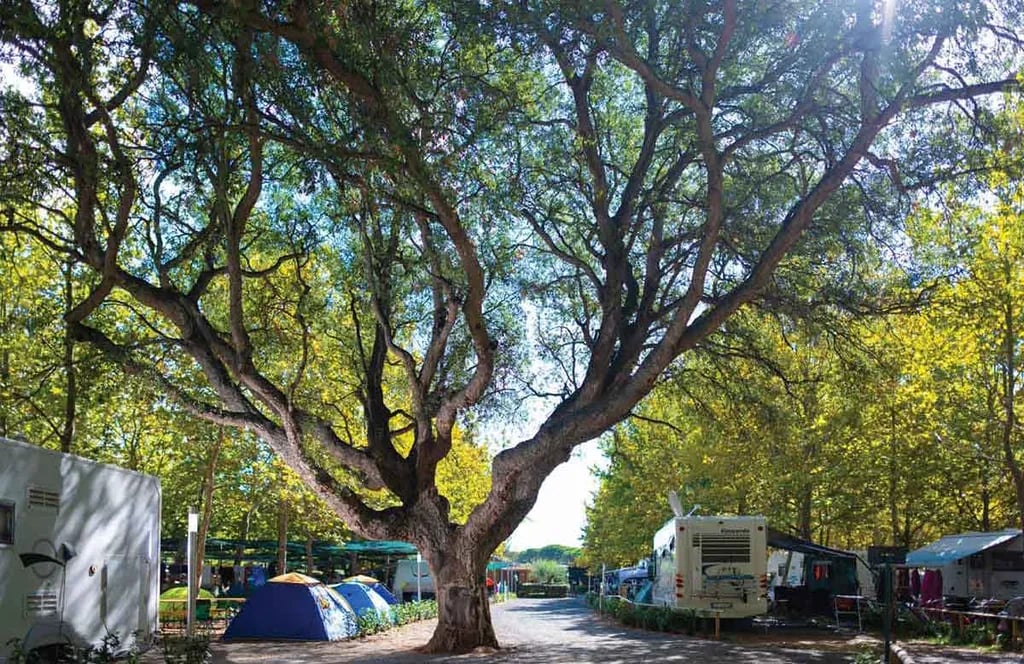 Camping Village Baia Azzurra Club gallery 2