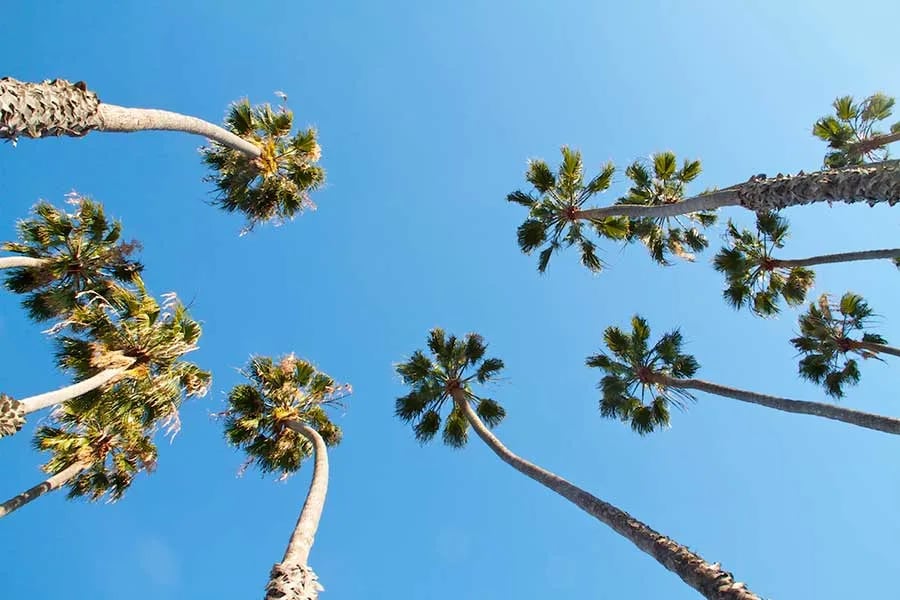 Santa Barbara Sunrise RV Park