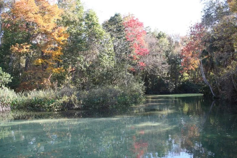 Weeki Wachee Christian Camp gallery 3